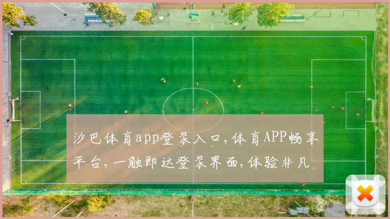 沙巴体育app登录入口,体育APP畅享平台,一触即达登录界面,体验非凡