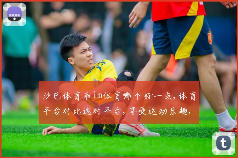 沙巴体育和im体育哪个好一点,体育平台对比选对平台,享受运动乐趣,一决高下